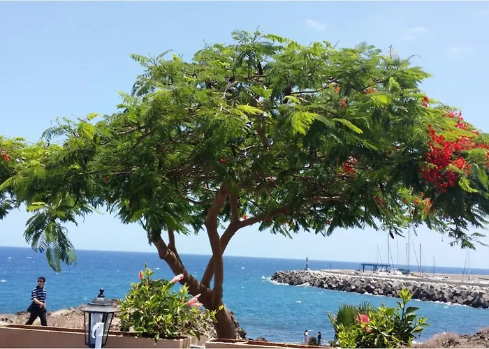 Appartement 327 - Edf Aguamarina - Vacation In The Coast Line Of Golf Del Sur San Miguel de Abona