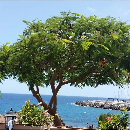 Apartman 327 - Edf Aguamarina - Vacation In The Coast Line Of Golf Del Sur San Miguel de Abona